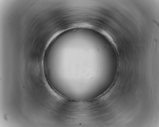 X0000096150947200801180826