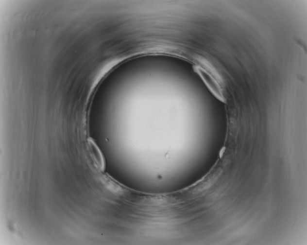 X0000096150948200801180826