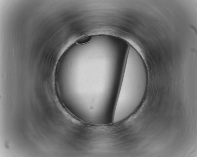 X0000096150949200801180826