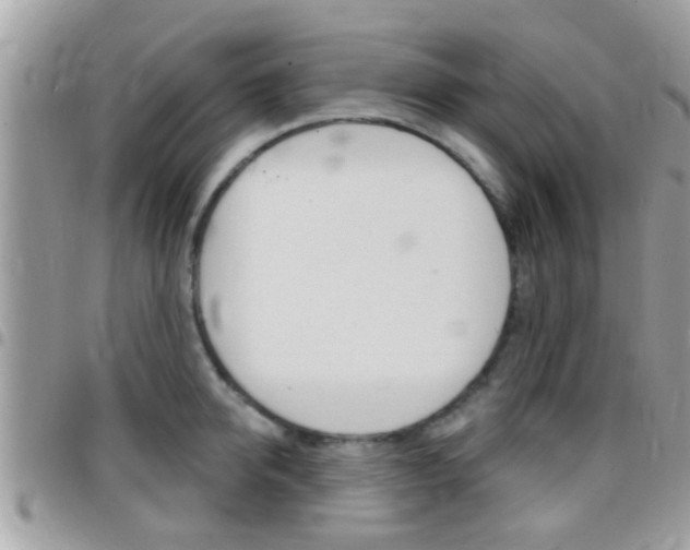 X0000096150950200801180826