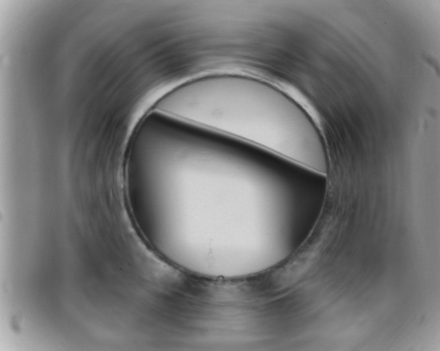 X0000096150951200801180826
