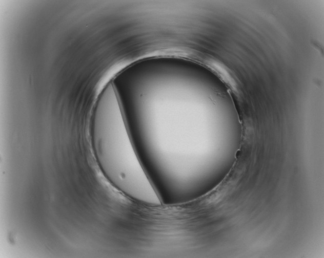 X0000096150952200801180826
