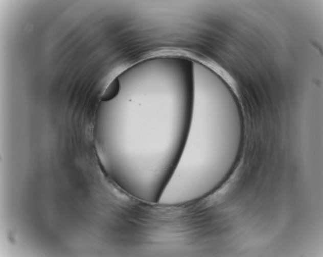 X0000096150953200801180826