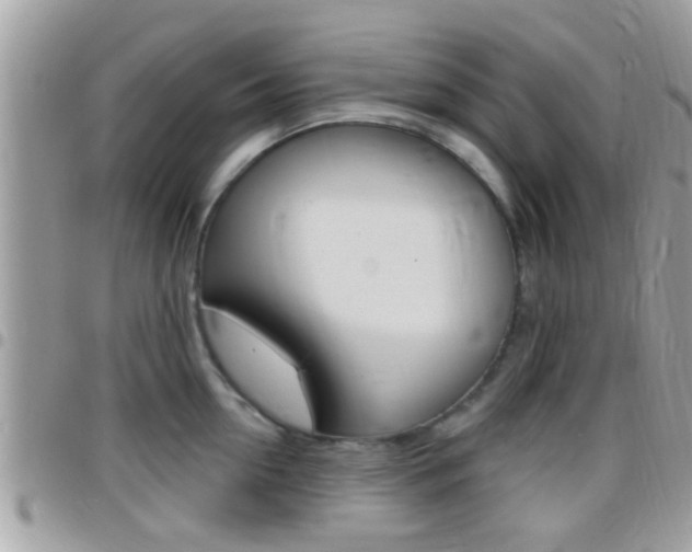 X0000096150954200801180826