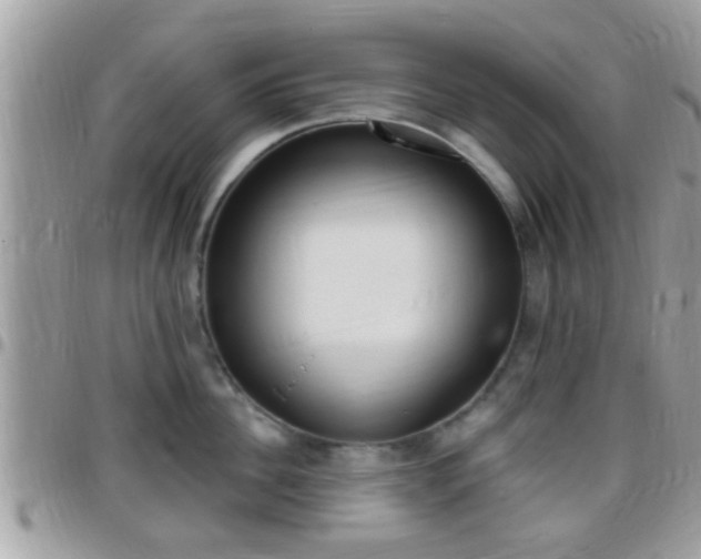 X0000096150956200801180826