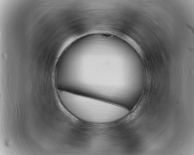 X0000096150958200801180826