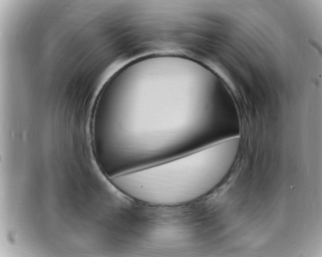 X0000096150959200801180826