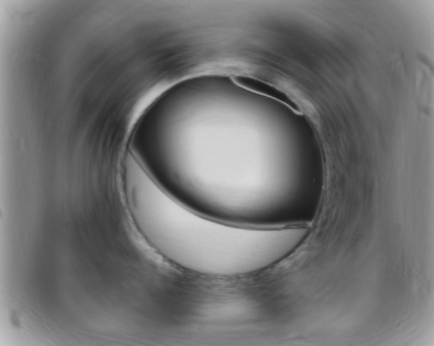 X0000096150960200801180826