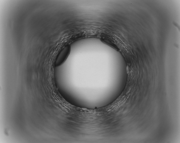 X0000096150961200801180826