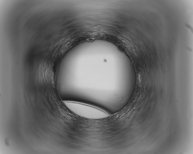 X0000096150963200801180826