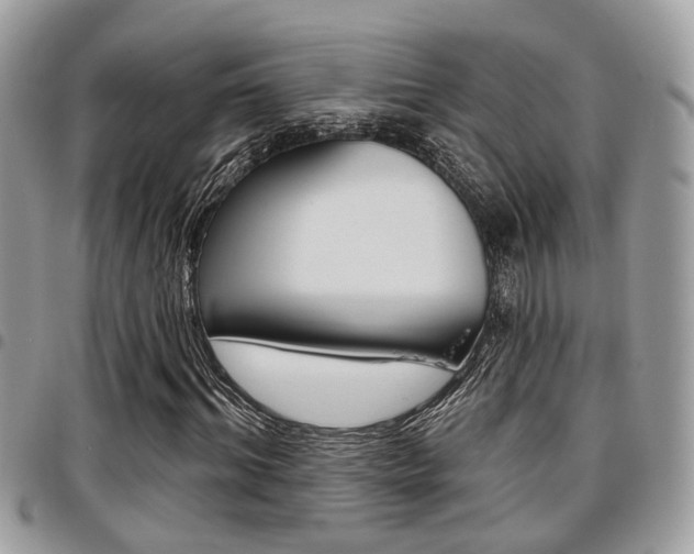 X0000096150964200801180825