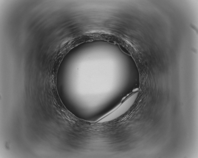 X0000096150965200801180825