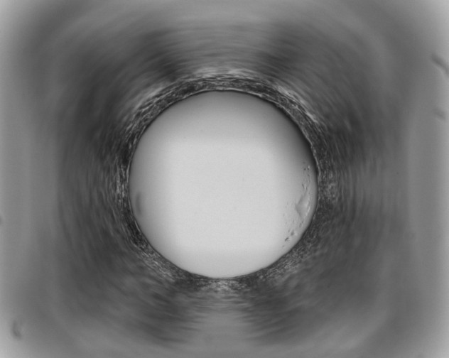 X0000096150966200801180825