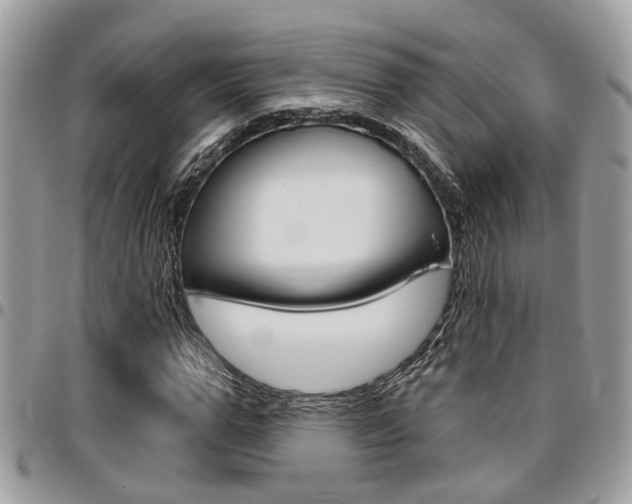 X0000096150967200801180825