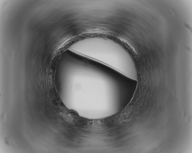 X0000096150968200801180825