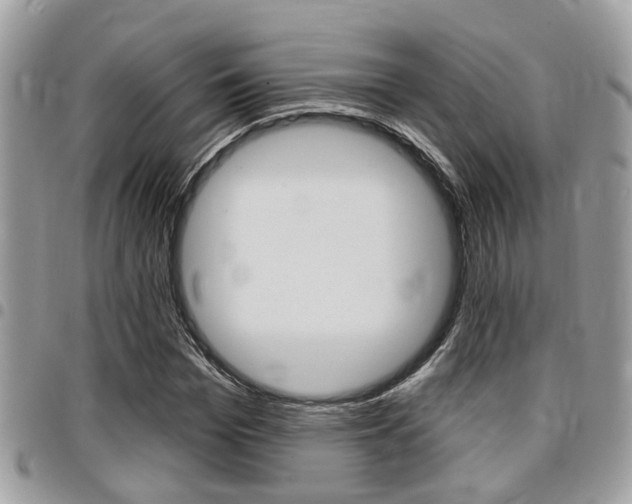 X0000096150969200801180825