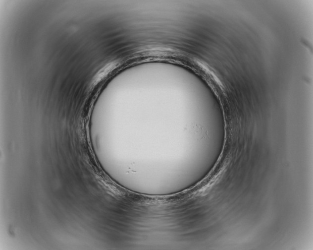 X0000096150970200801180825