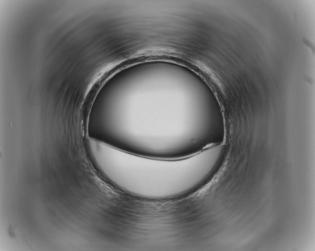 X0000096150973200801180825