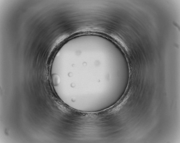 X0000096150974200801180825