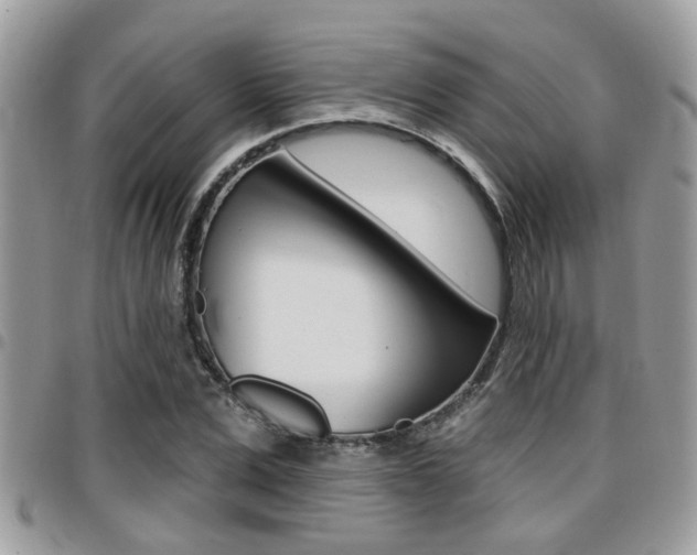 X0000096150975200801180825