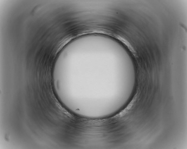 X0000096150977200801180825
