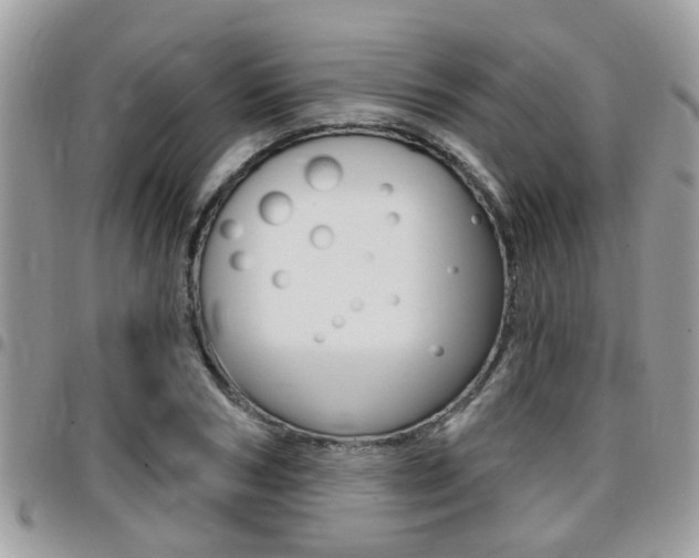 X0000096150978200801180825