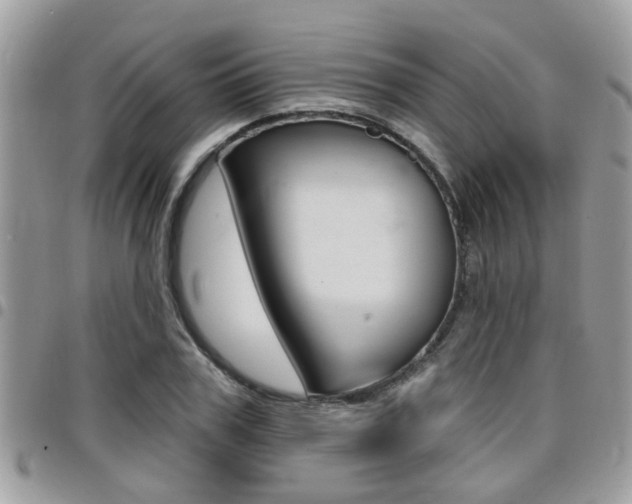 X0000096150979200801180825