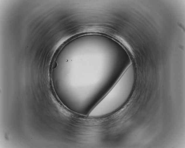X0000096150980200801180825