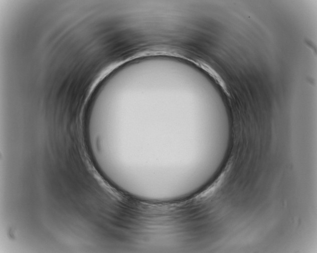 X0000096150981200801180825