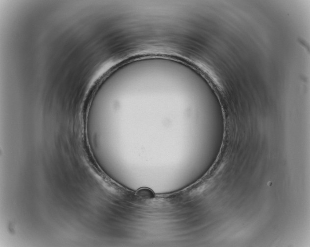 X0000096150982200801180825