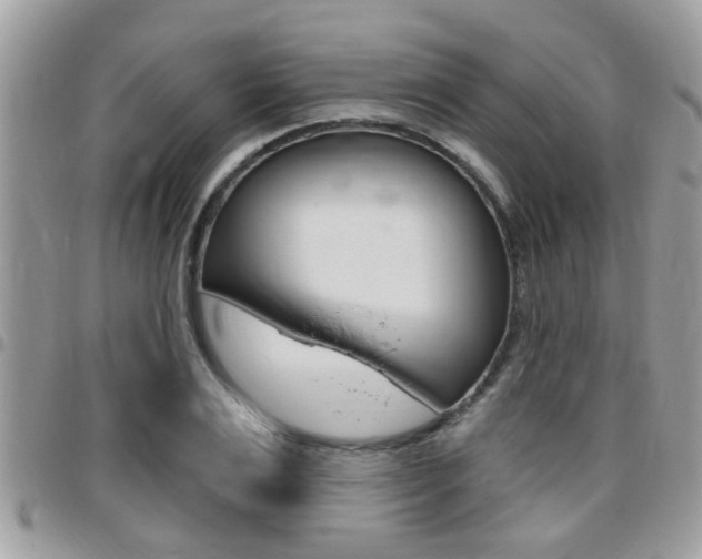 X0000096150983200801180825