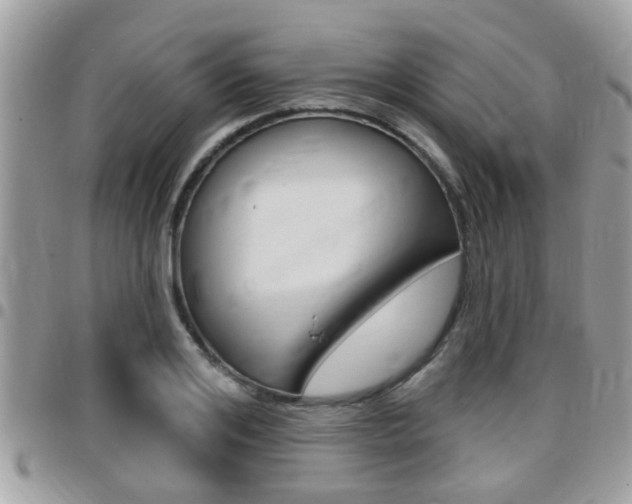 X0000096150984200801180825