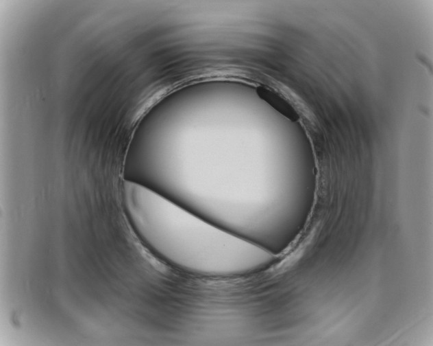 X0000096150985200801180825