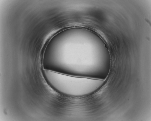 X0000096150987200801180825