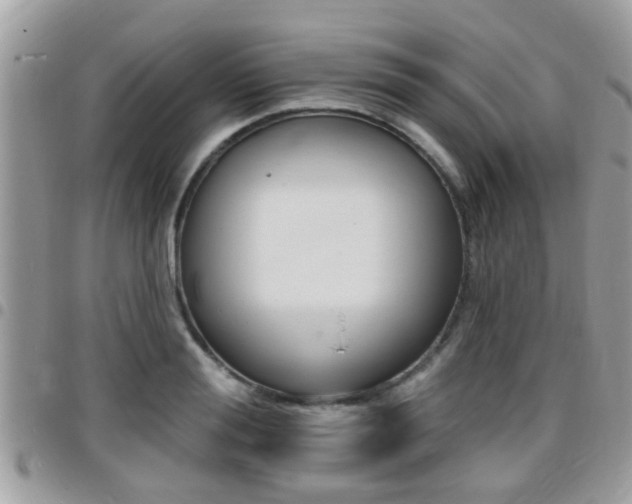 X0000096150988200801180825