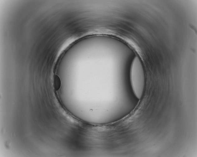 X0000096150990200801180825