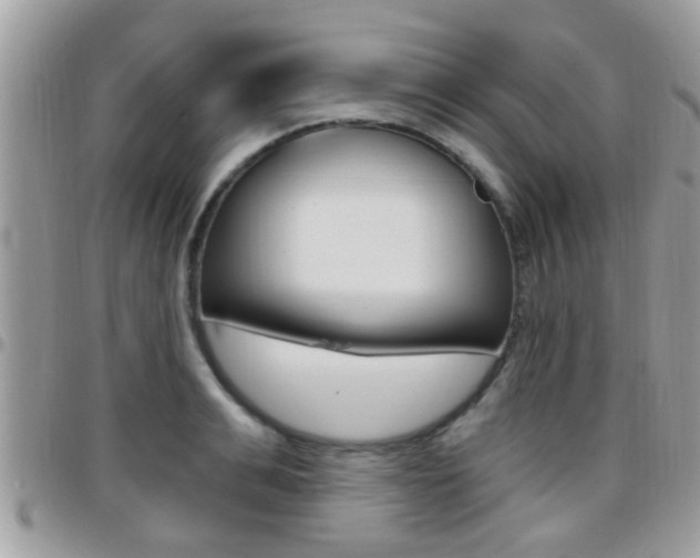 X0000096150991200801180825