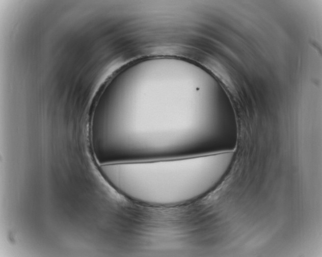 X0000096150992200801180825