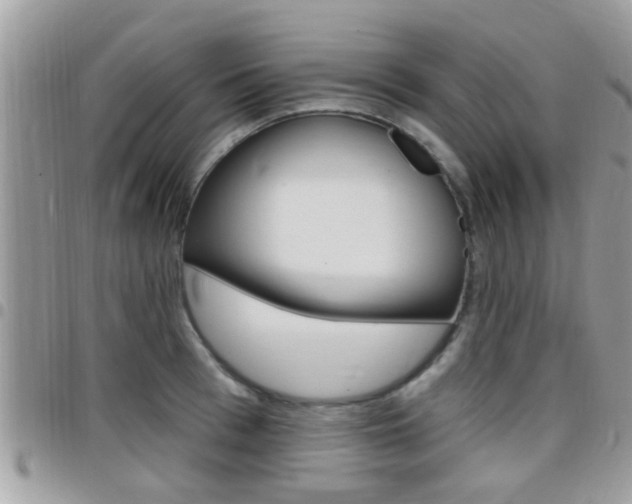 X0000096150993200801180825
