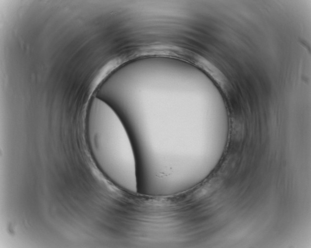 X0000096150994200801180825