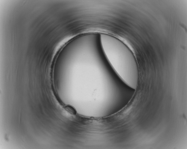 X0000096150995200801180825