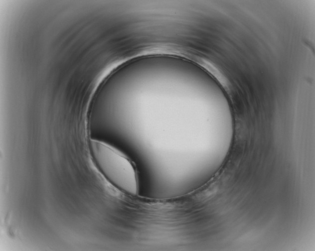 X0000096150996200801180825