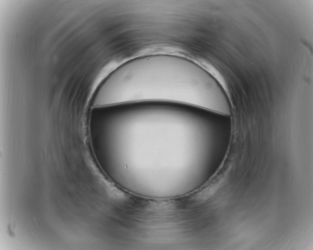 X0000096150997200801180825