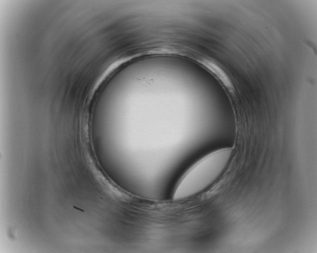 X0000096151000200801180825