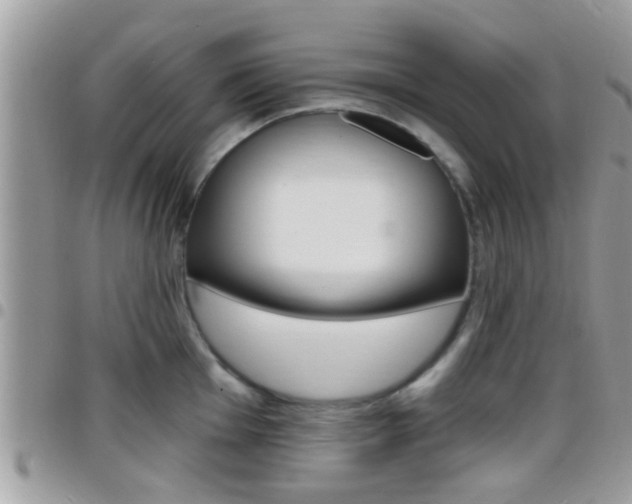 X0000096151001200801180825