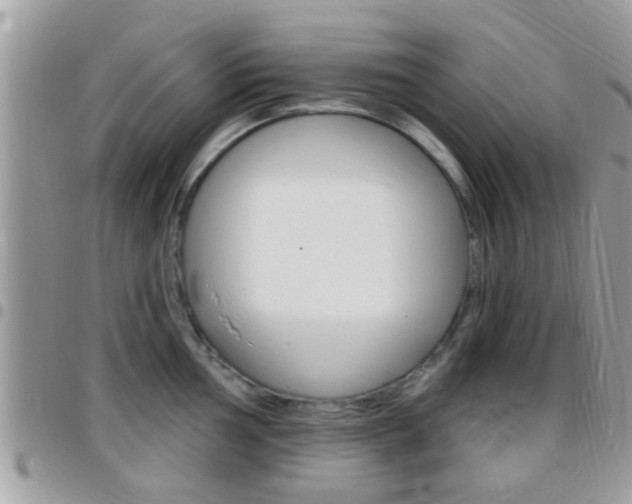 X0000096151002200801180825