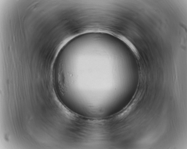 X0000096151004200801180825