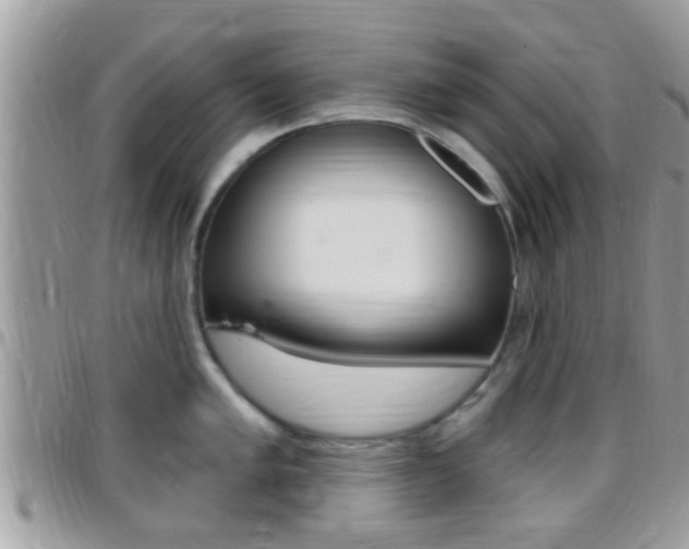X0000096151005200801180825