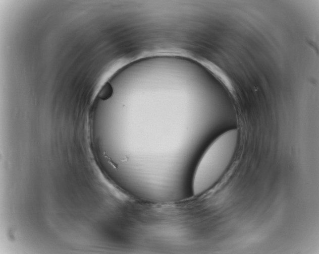 X0000096151006200801180825