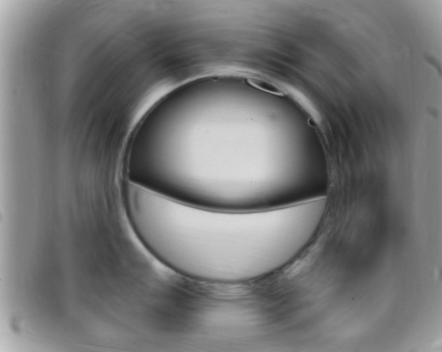 X0000096151007200801180825